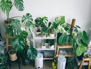 console versus tower humidifiers