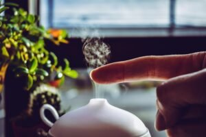 steam vs cool mist humidifiers