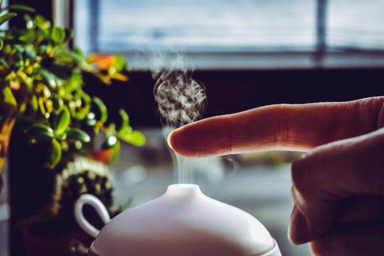 steam vs cool mist humidifiers